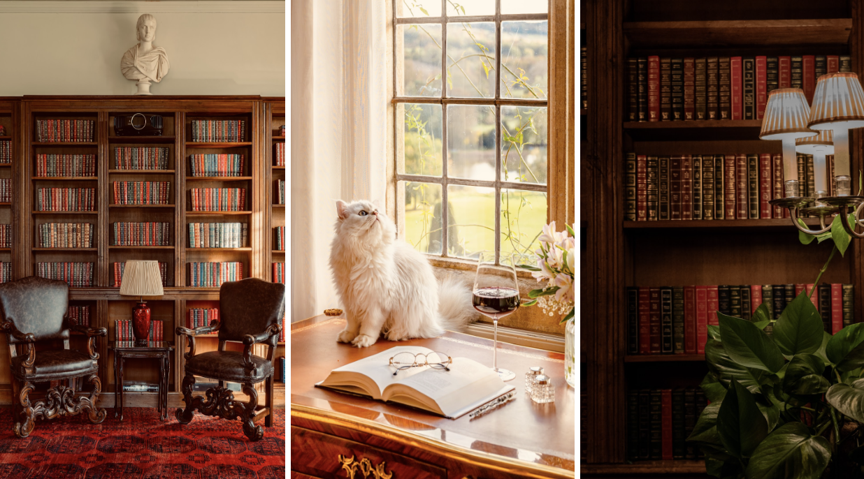 Triptych of images: (from left to right) 1. A cozy Chilham Castle library with leather armchairs, warm lighting, and rich wooden textures. 2. A charming reading nook featuring a white cat on a desk, an open book, and a window framing views of the castle grounds. 3. Another inviting library space with soft lighting and a bookshelf.