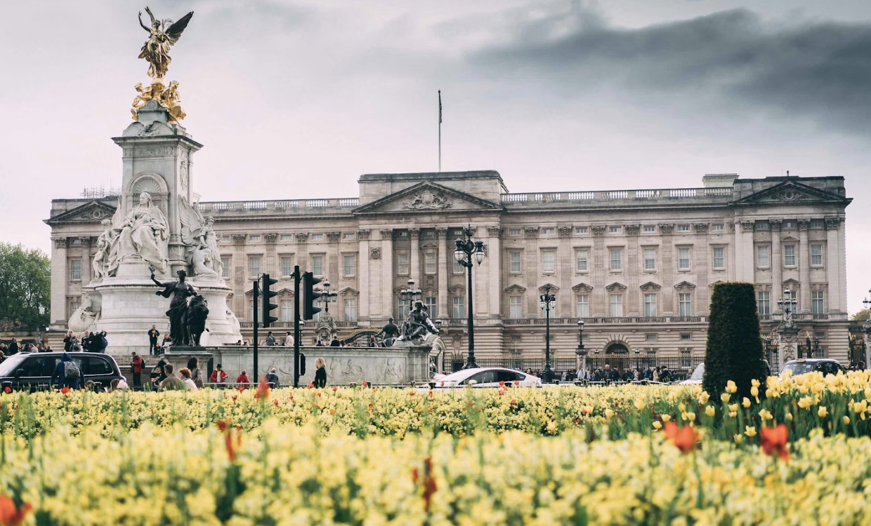 As grey clouds envelope the enchanting Buckingham Palace, admire its grandeur from a field of yellow tulips.