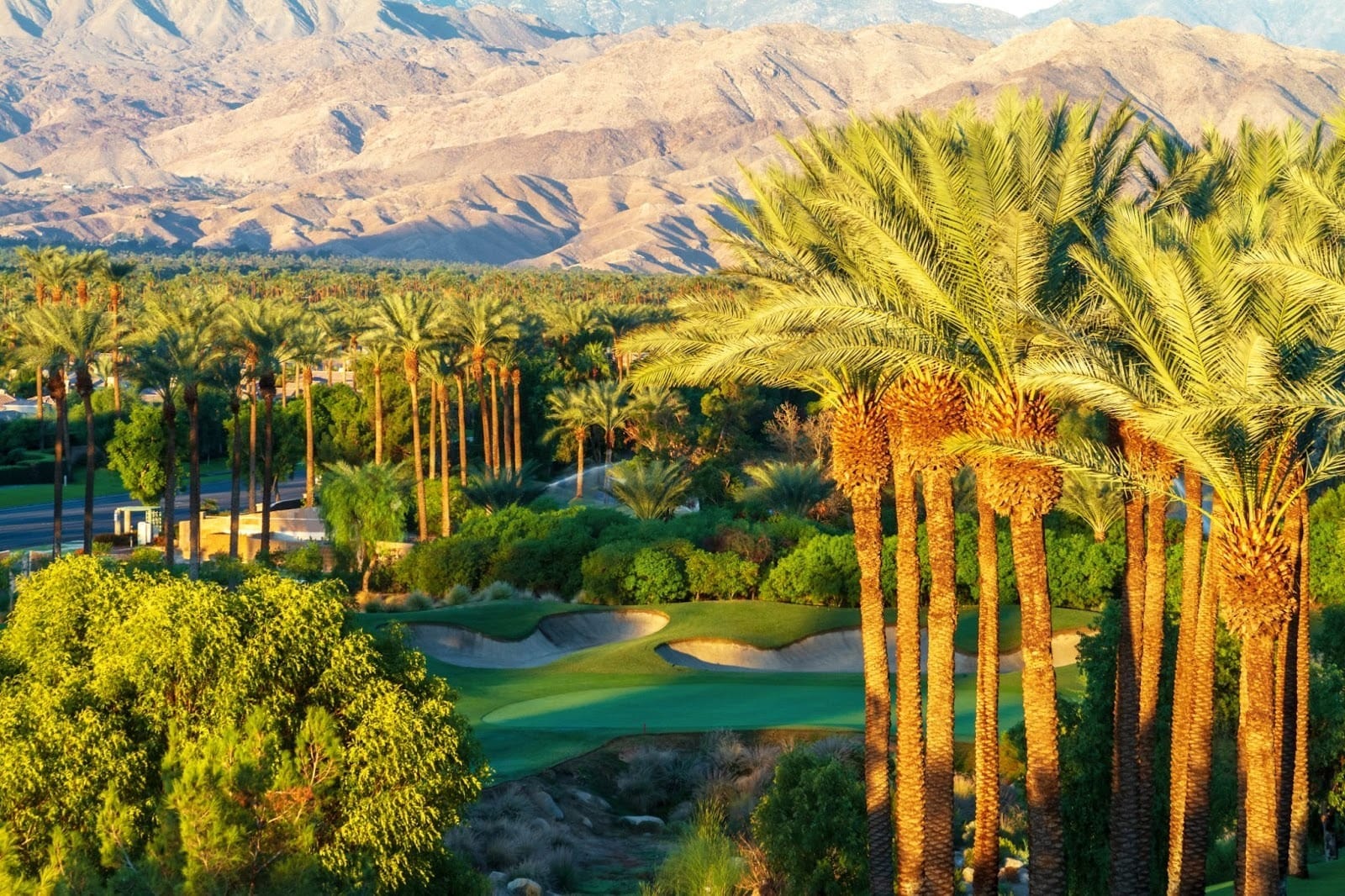 Coachella Valley golf course in Palm Springs, featuring desert scenery, towering palm trees, and championship fairways.