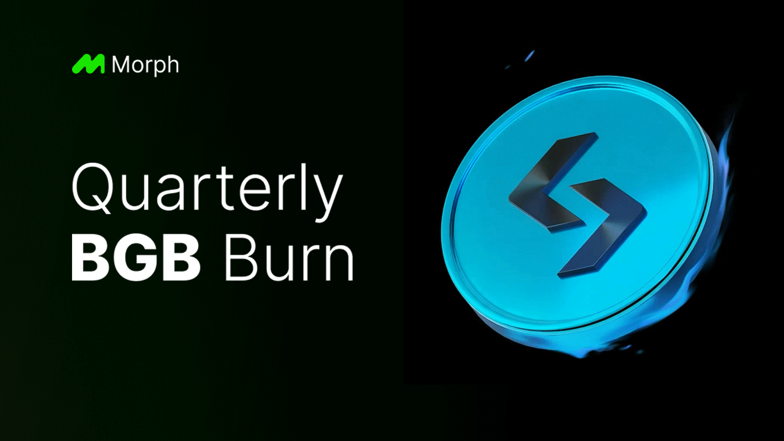 Quarterly BGB Burn: How to Participate in Governance