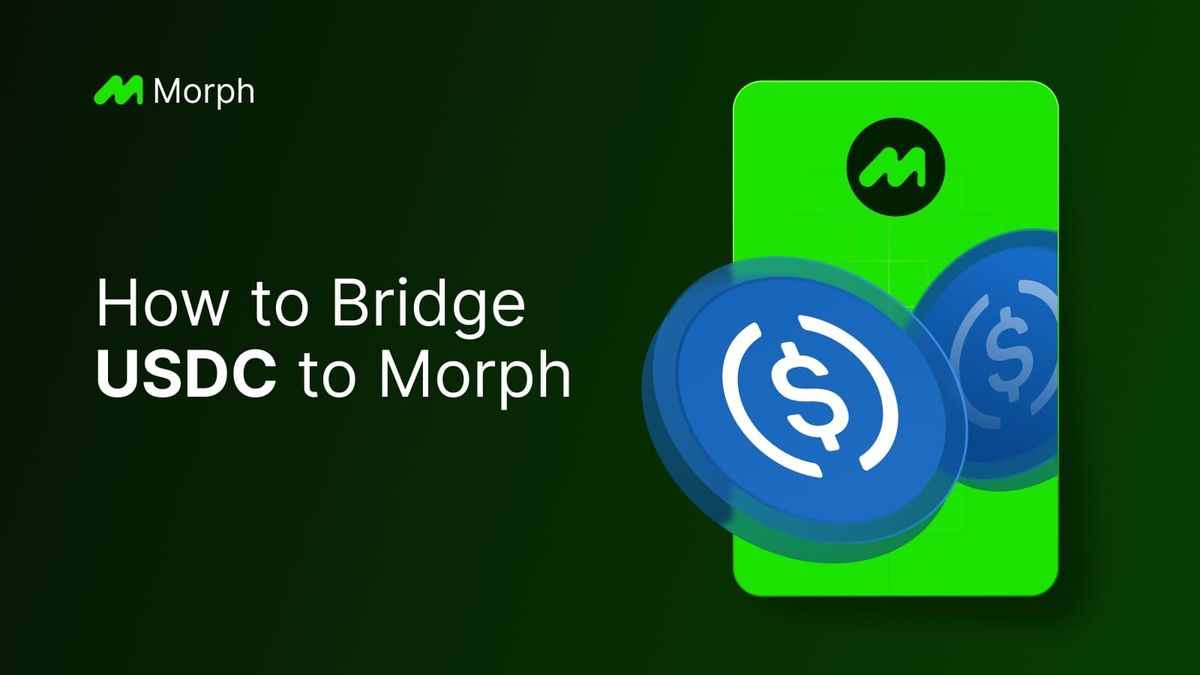 How to Bridge USDC to Morph