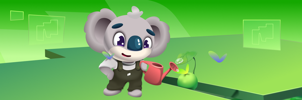 Maximize Your Rewards on Morph