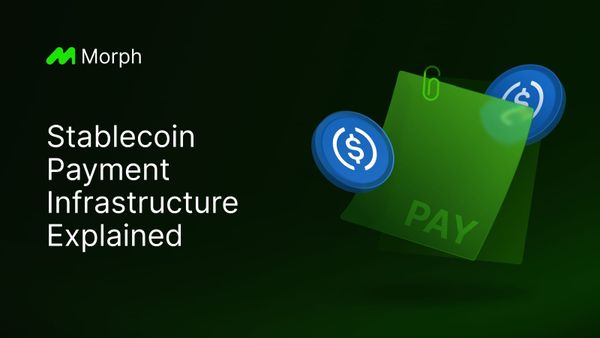 Stablecoin Payment Infrastructure Explained