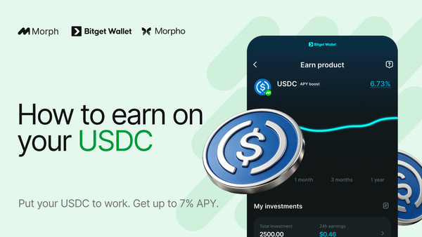 How to Earn on your USDC with Morph