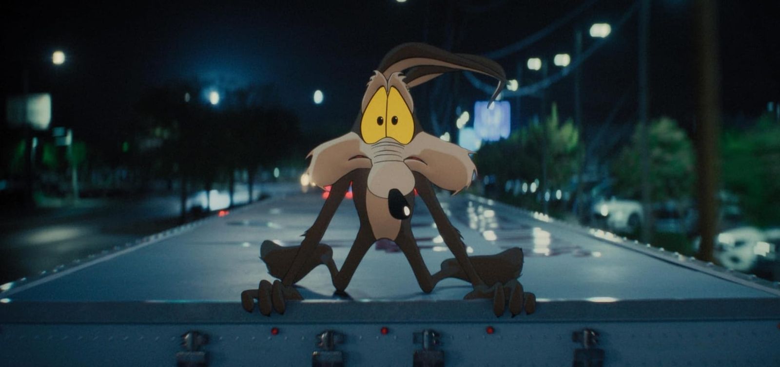 Coyote vs Acme
