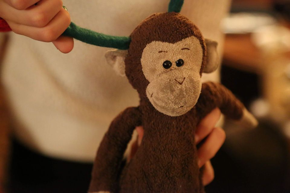 Dear (Stuffed) Friends Forgotten