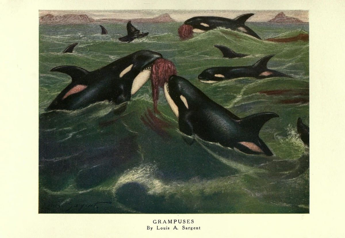 99: 'Every city is a war'