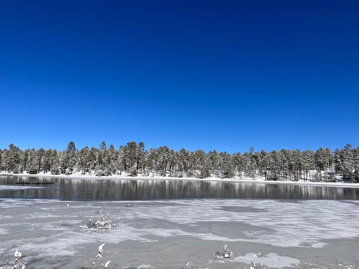 107: Is there no alternative?