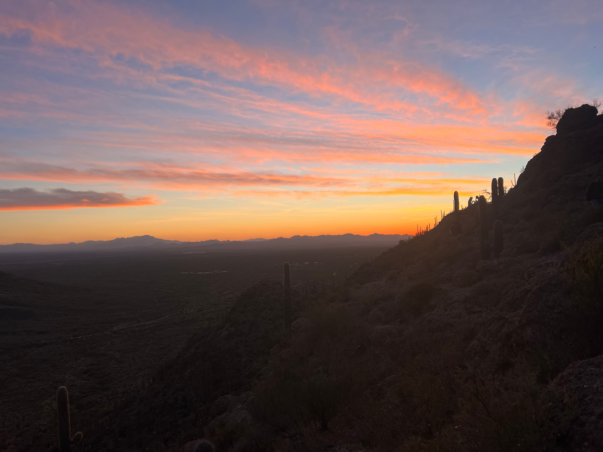 News from Crisis Palace!