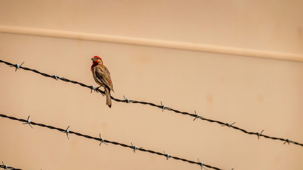 The moment we need to meet