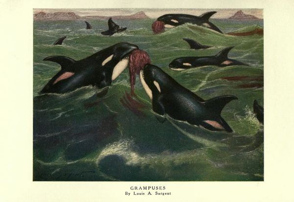 99: 'Every city is a war'