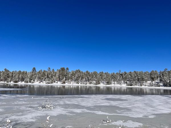 107: Is there no alternative?