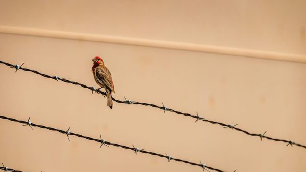 The moment we need to meet