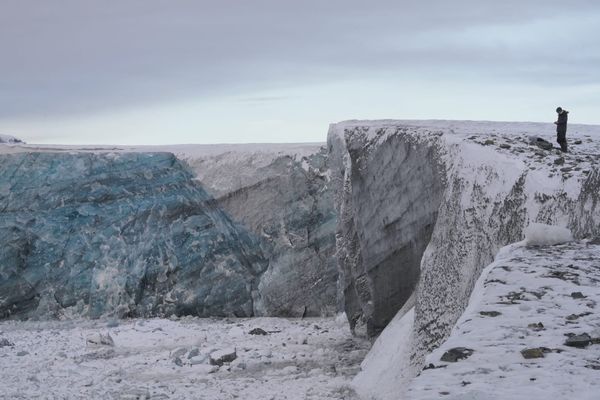 Engaging with a world that may not make it