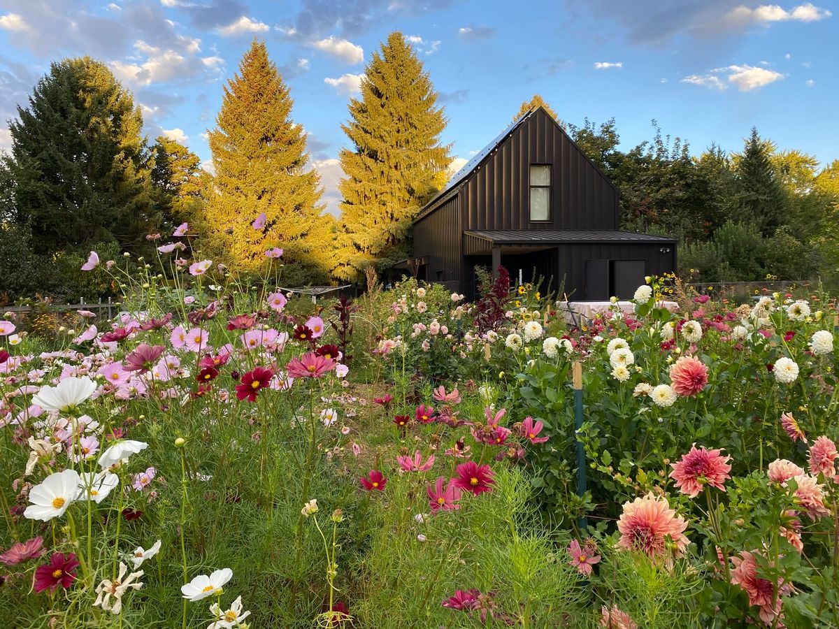 A Seedy Super Sunday