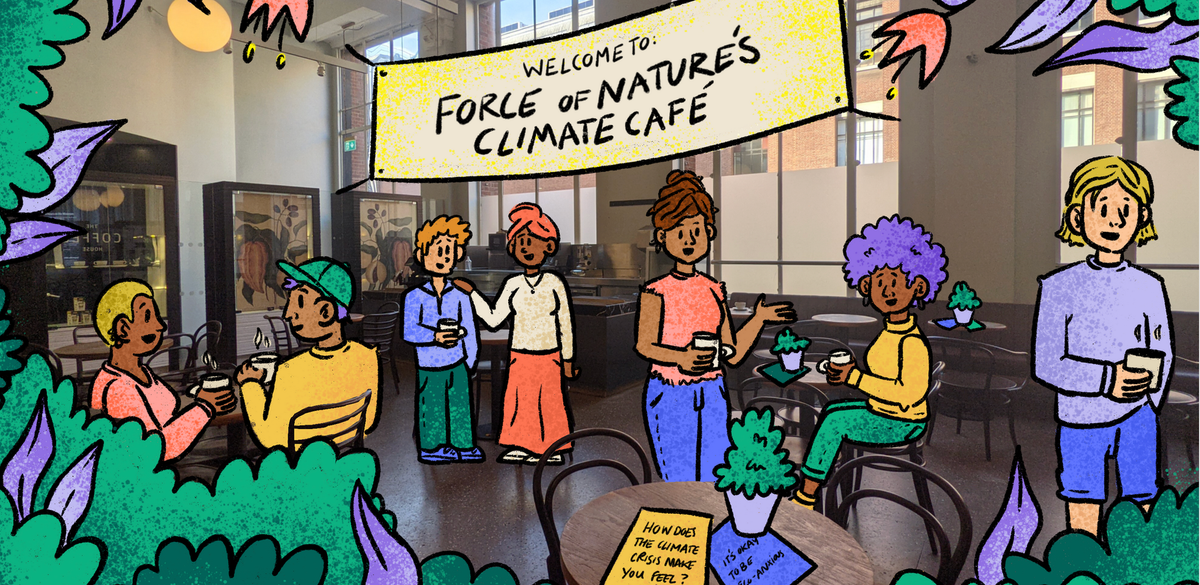 Climate, Coffee, and Mental Health