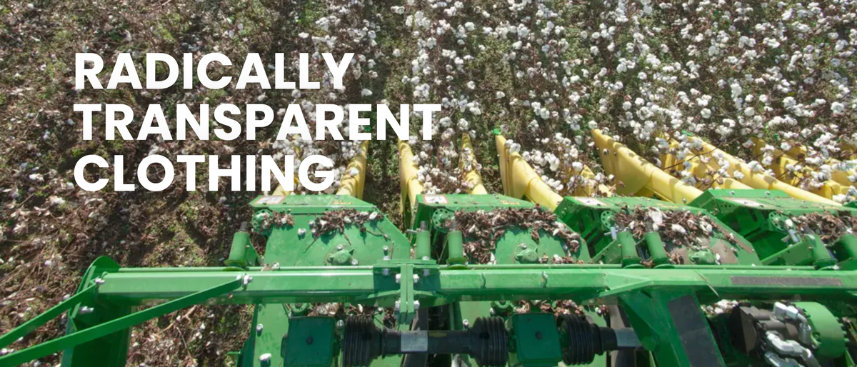 Radical Transparency