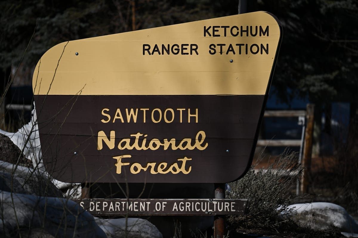 While You Were Distracted, They Came For The Forest Service