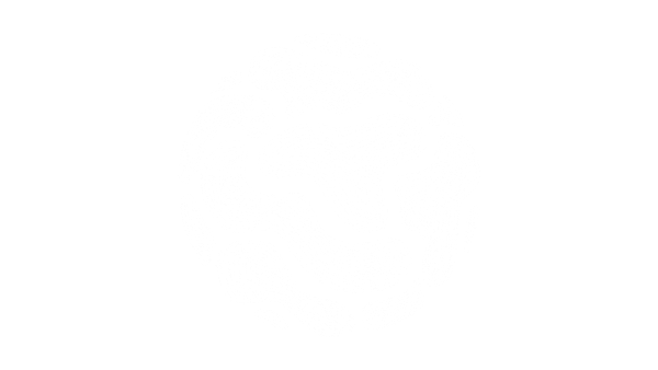 Curiosity