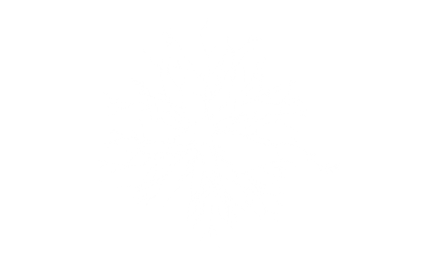 The Search