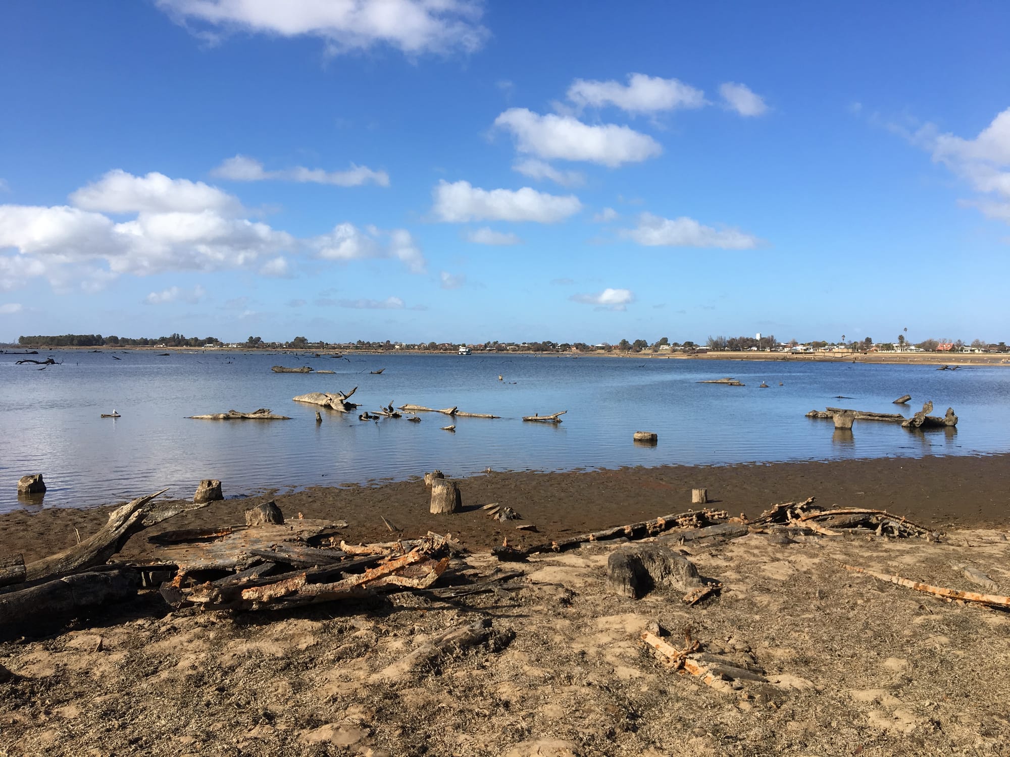 LOW TIDE: The last lowering of Lake Mulwala's water level to kill invasive waterweed egeria densa occurred in 2018. Id:22516
