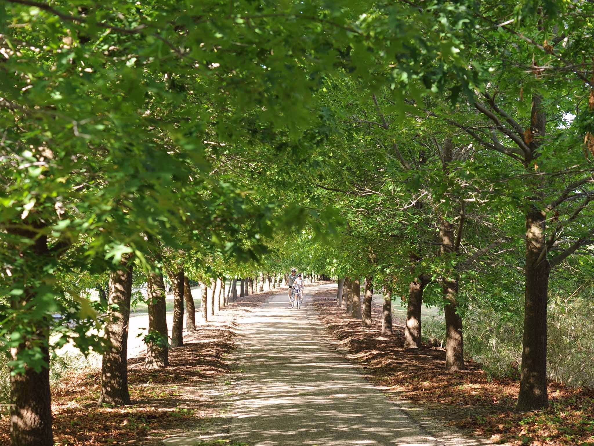 BUDGET COMMITMENT: There will be no new money spent by Indigo Shire council on bike and rail trails in this coming budget, although there is funding carried over from previous years.