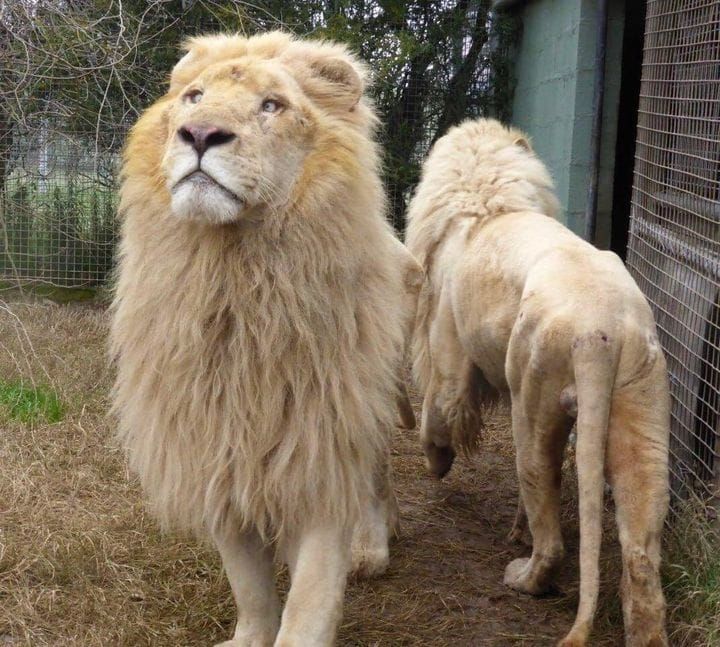 Fun time at the zoo over Easter Post feature image