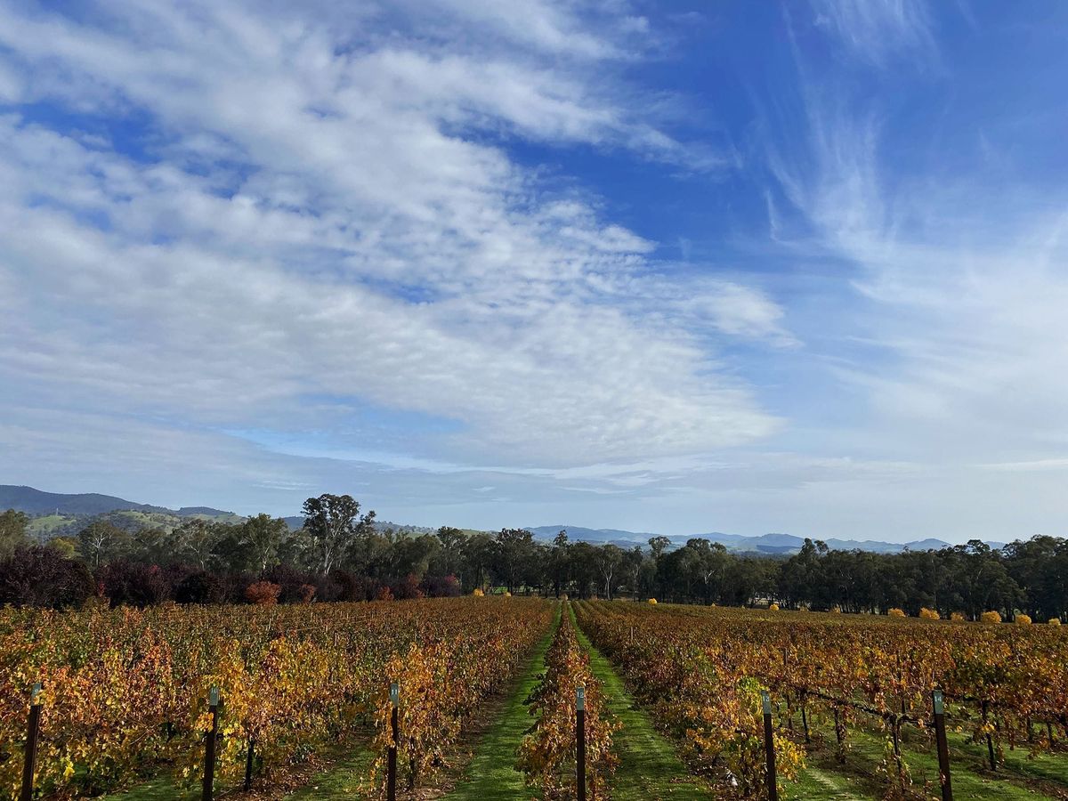 Award–winning wines and fresh produce Post feature image