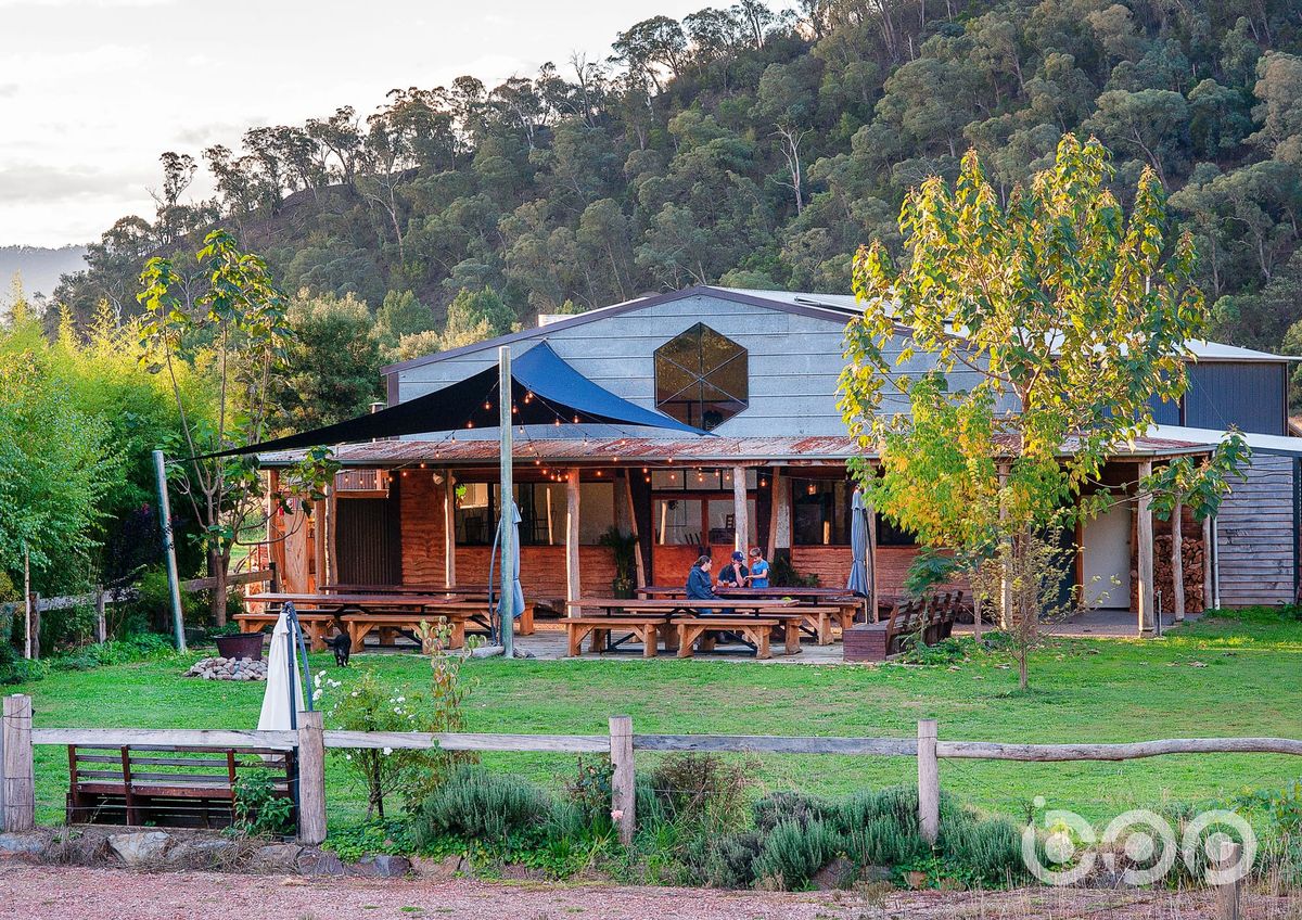 A dream brewing team Post feature image