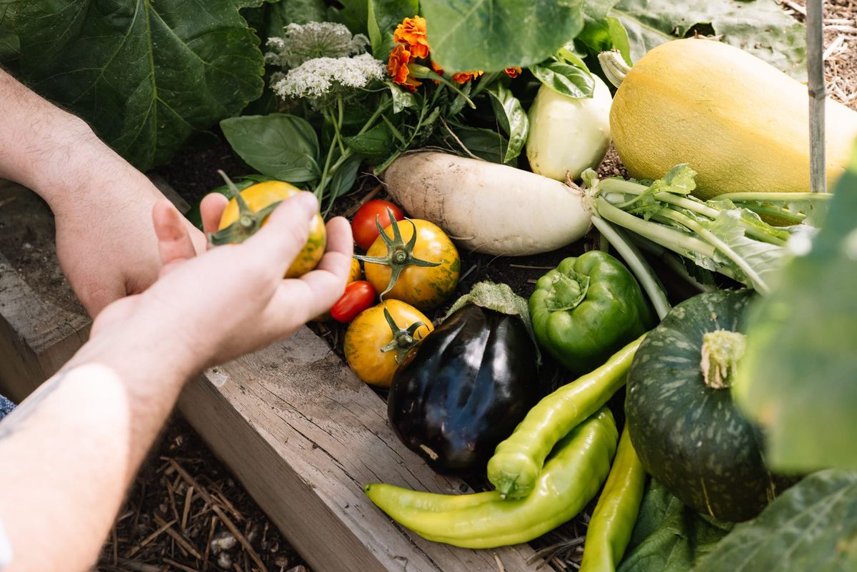 Experience a new food philosophy Post feature image