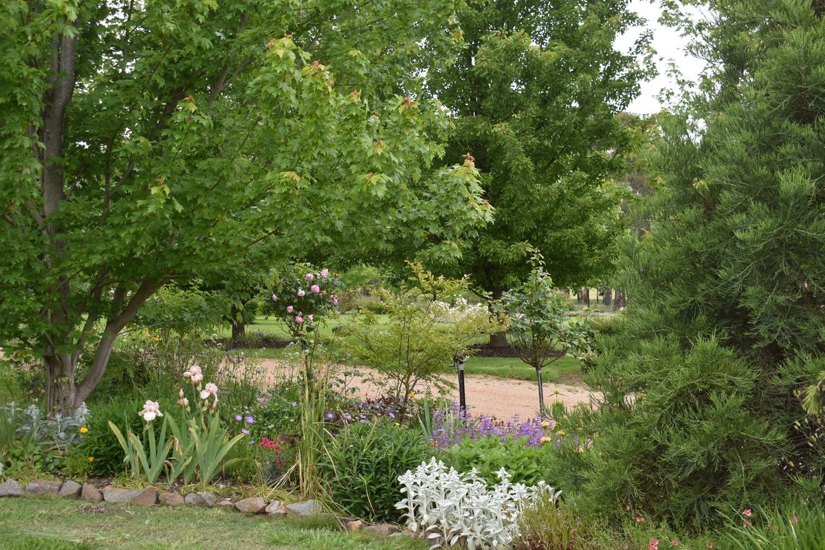 Garden opens for Australia Day weekend Post feature image