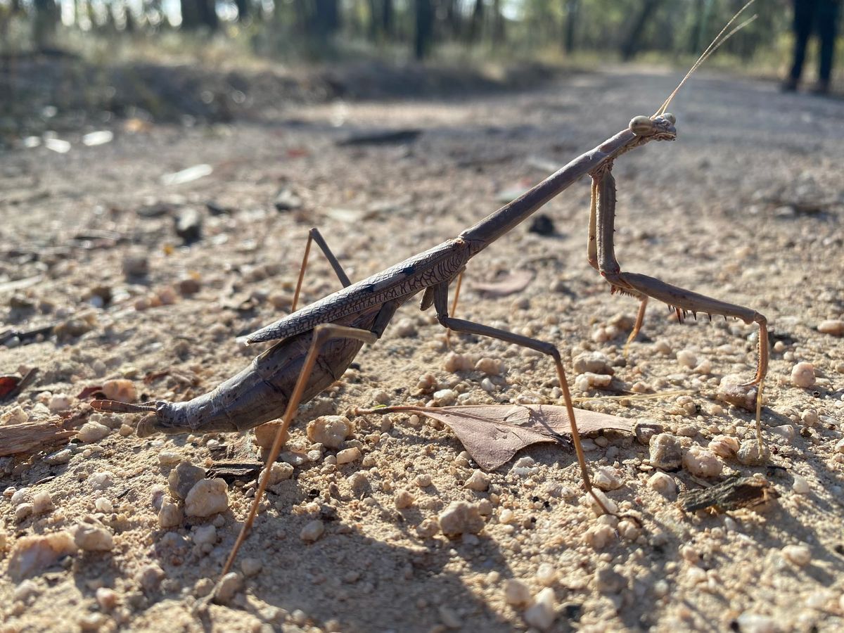 History and growth at Glenrowan Post feature image
