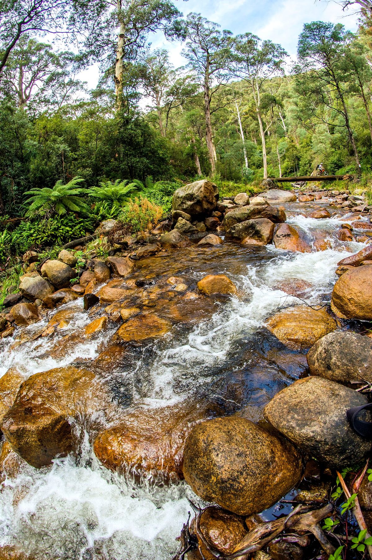 Explore Mansfield Post feature image