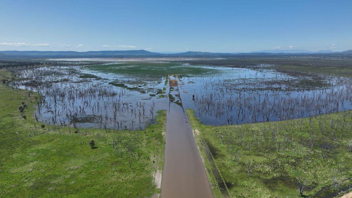 Winton Wetlands: more to see than ever Post feature image