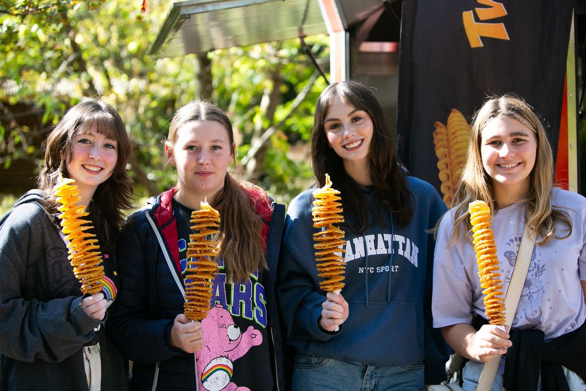 Huge line-up for autumn festival Post feature image