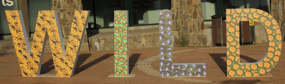 Plenty more events to come as Mt Buller heads into February Post feature image