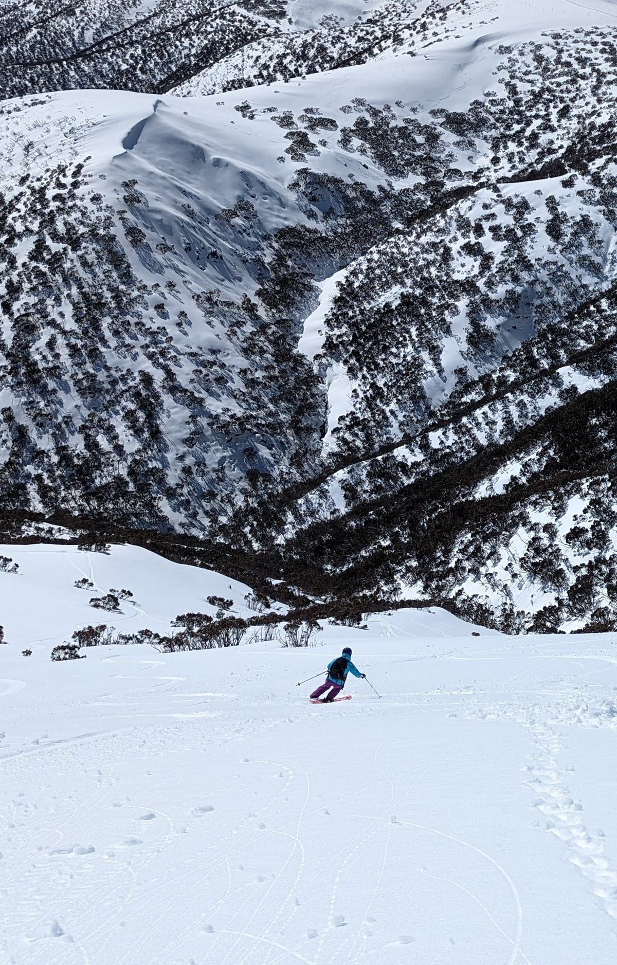 Spilling the Beans – Classic Hotham Sidecountry Descents Part 3 Post feature image