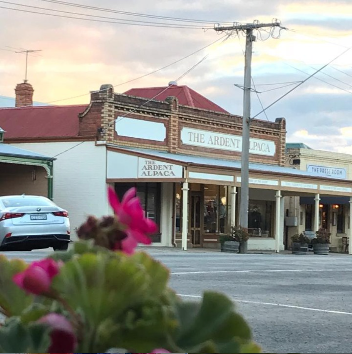 The Ardent Alpaca Post feature image