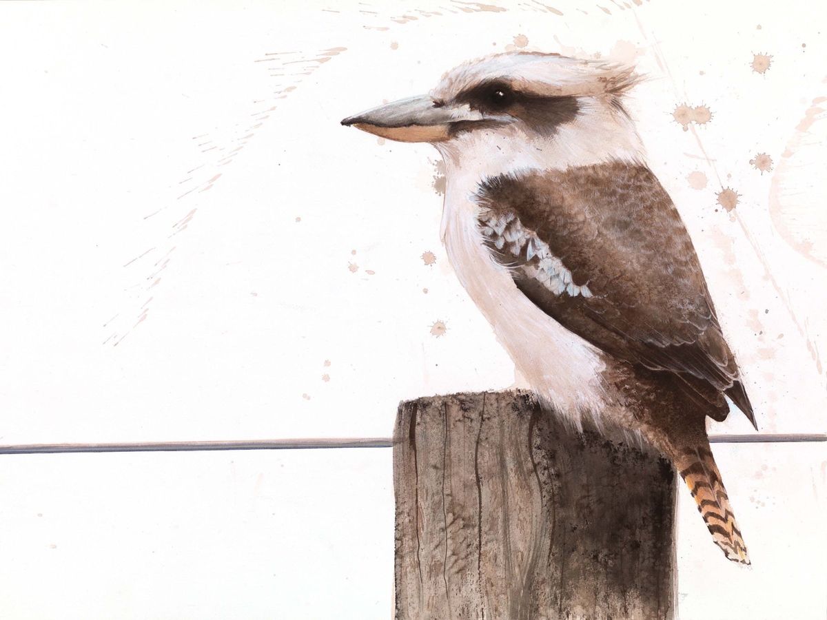 Magnificent Marysville is ready for you Post feature image