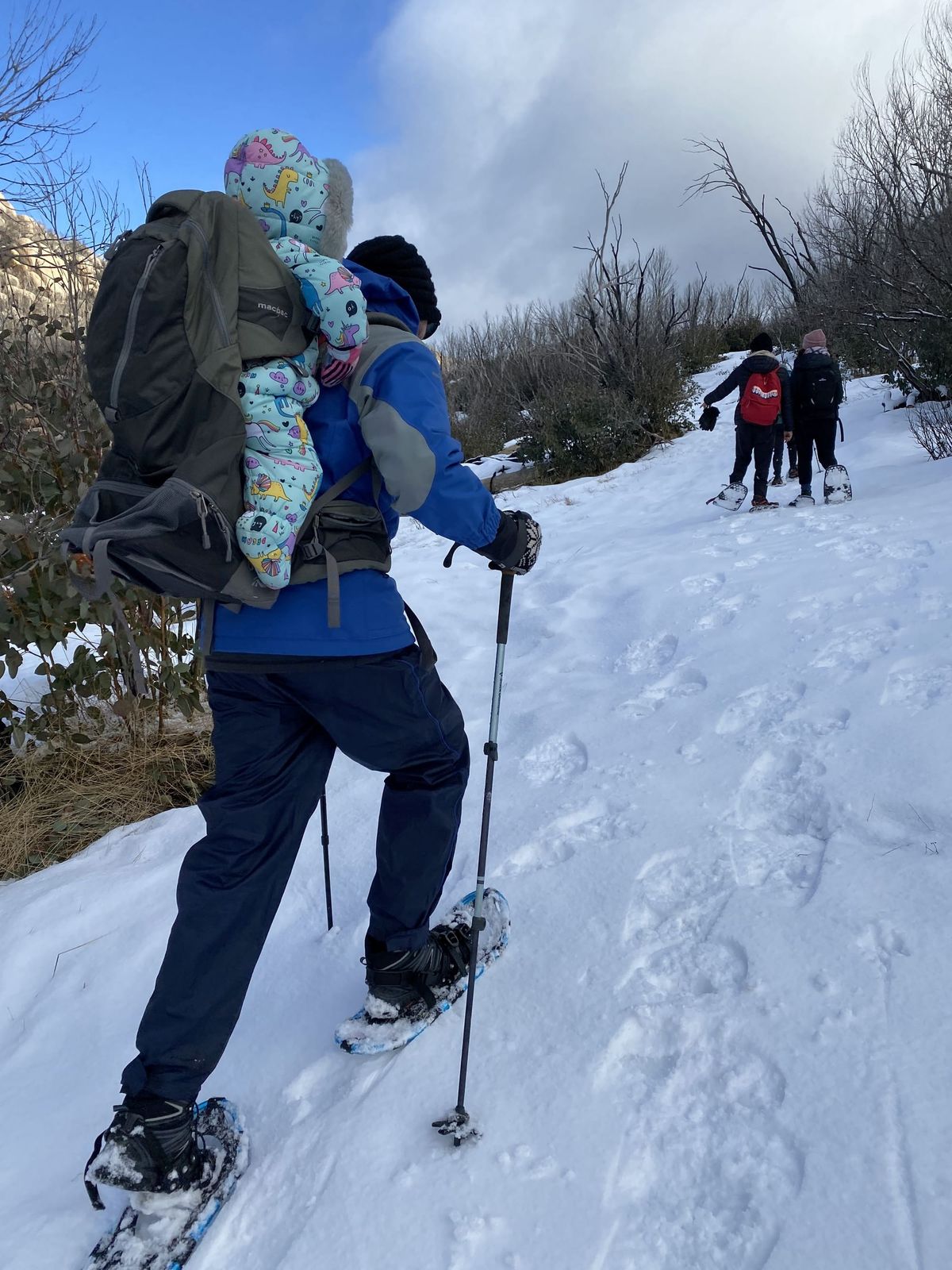 Ski lessons, tours and scenic snowshoeing Post feature image