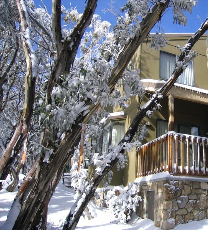 Quality accommodation on the mountain Post feature image