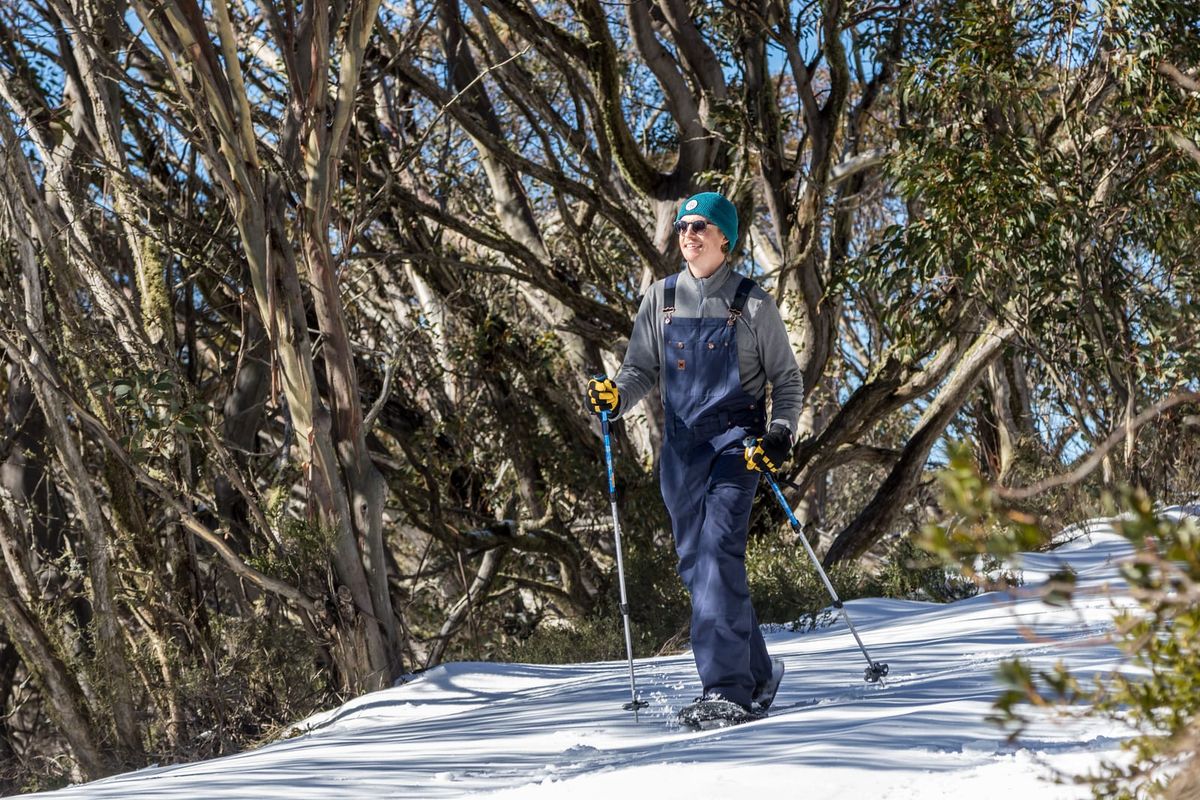 It's snow joke – winter is here! Post feature image