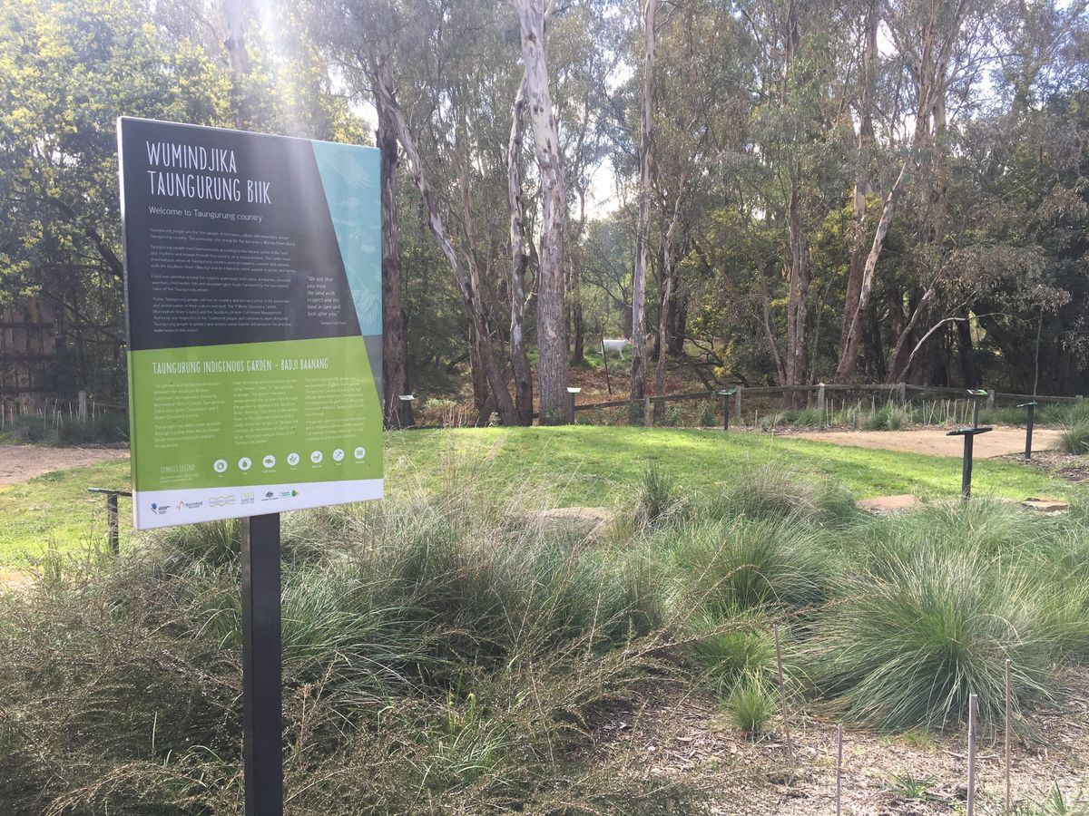 Summer at the Yea Wetlands Discovery Centre Post feature image