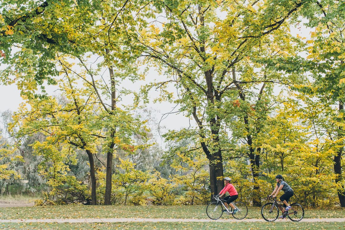 Albury, Wodonga or both – the choice is yours Post feature image