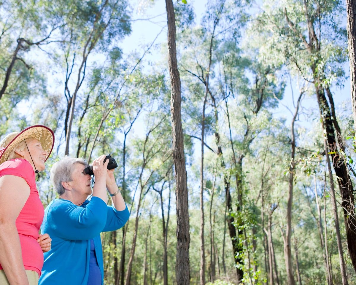 Must-visit autumn escape Post feature image