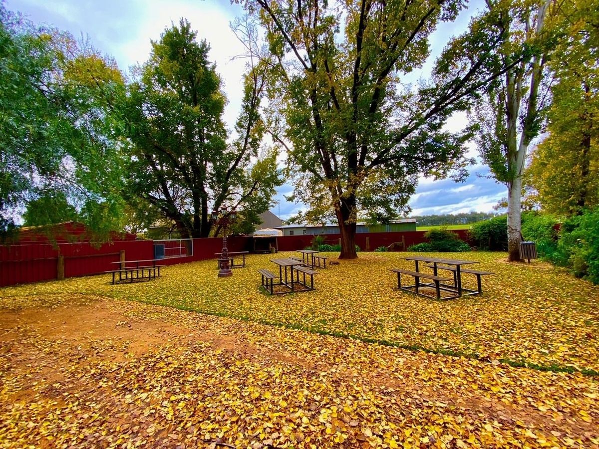 A cosy autumn escape Post feature image