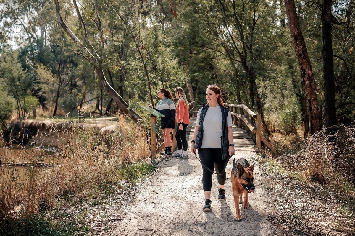 Visit Yea's wonderful wetlands Post feature image