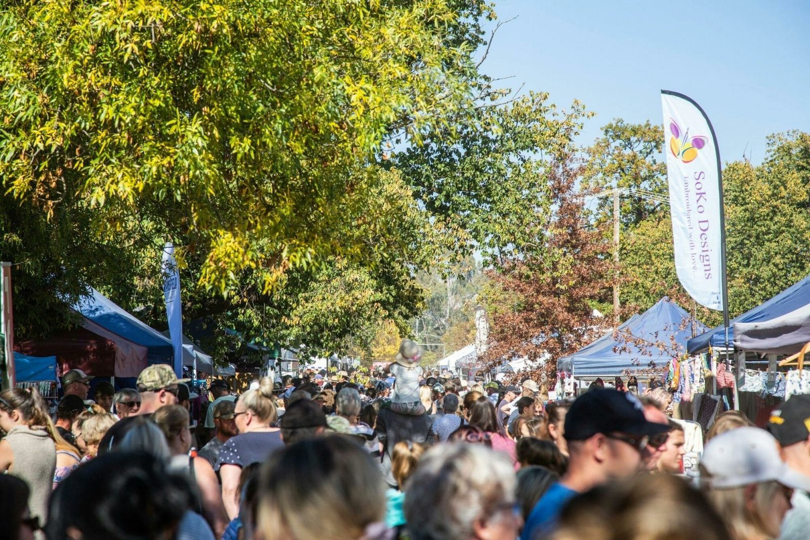 Shop, taste and explore in Mansfield Post feature image