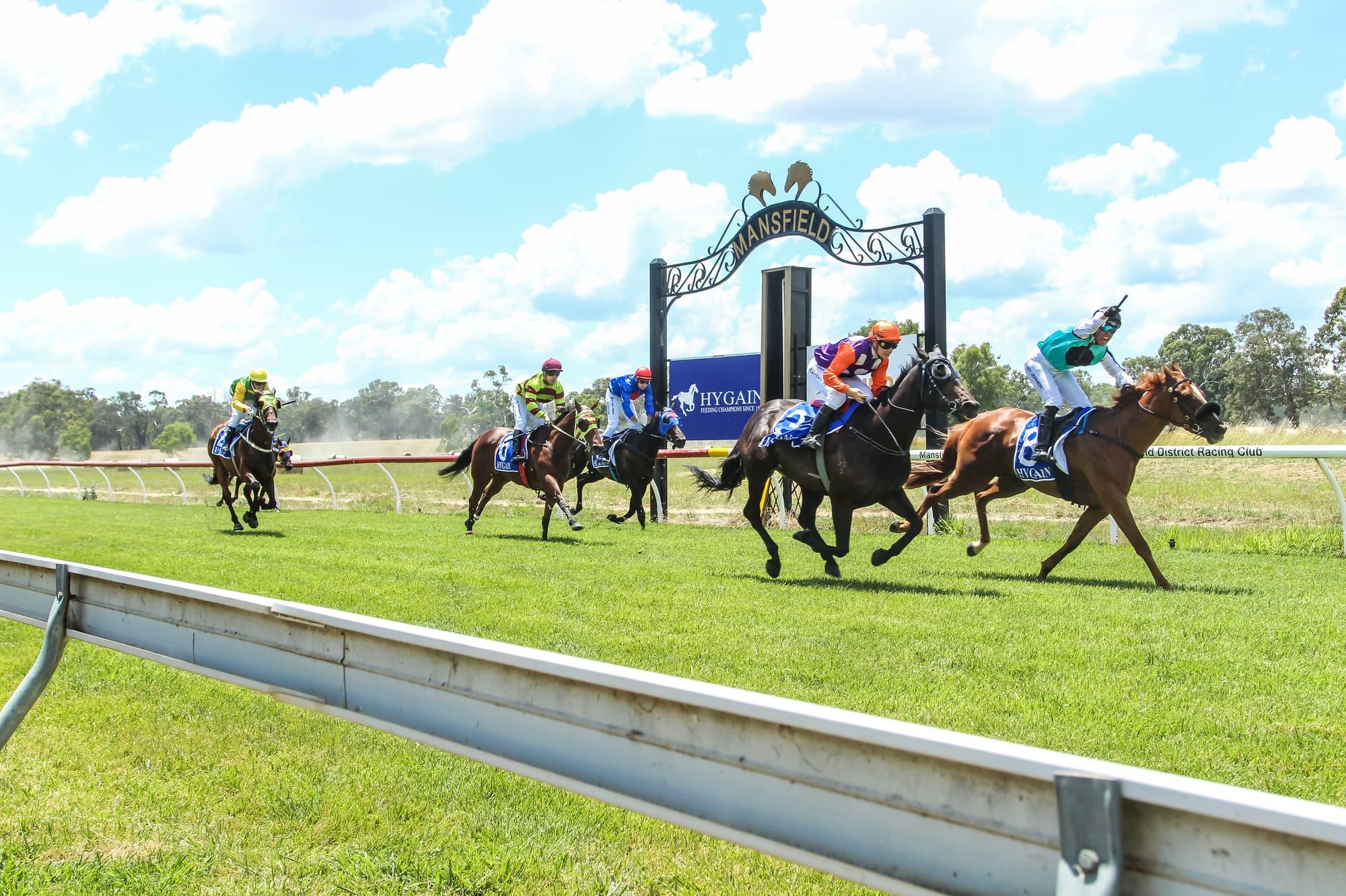 Mansfield Melbourne Cup Day Picnic Races are back Post image