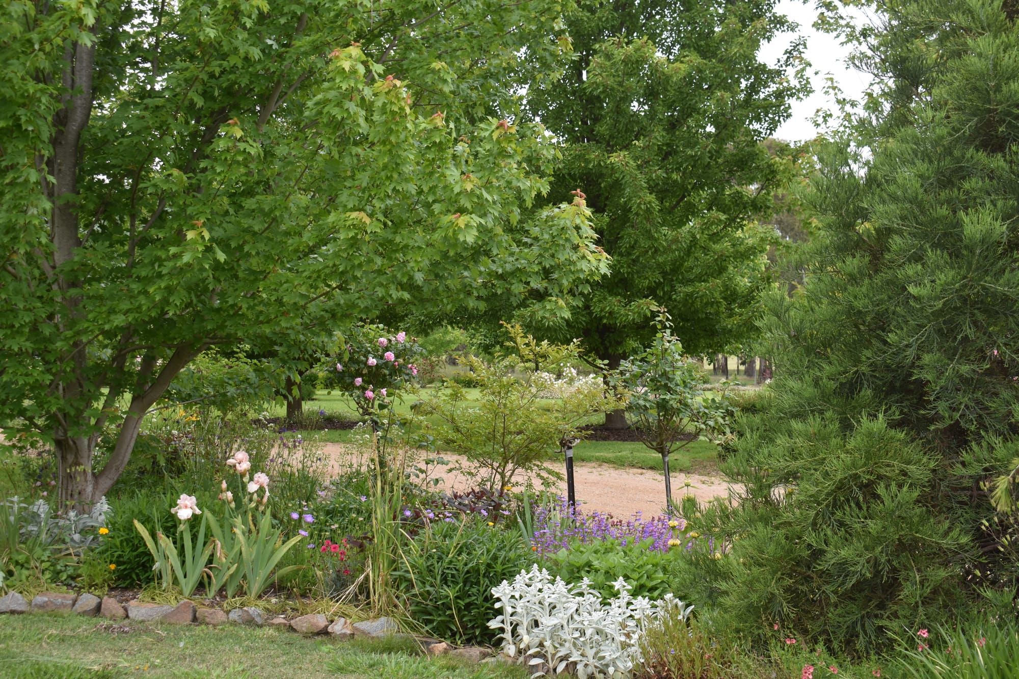 Garden opens for Australia Day weekend Post image